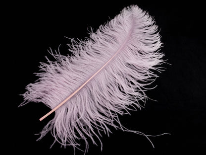 Ostrich Prime Wing Feather (50-65cm)