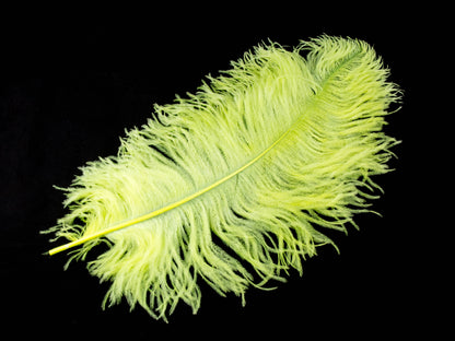 Extra Long Ostrich Premium Wing Feather (65-75cm)
