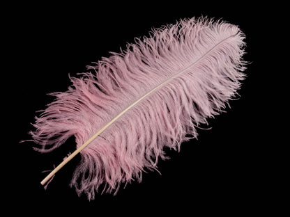 Ostrich Prime Wing Feather (50-65cm)