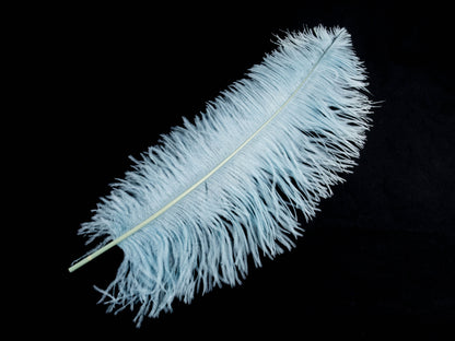 Ostrich Prime Wing Feather (50-65cm)