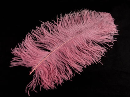 Ostrich Prime Wing Feather (50-65cm)