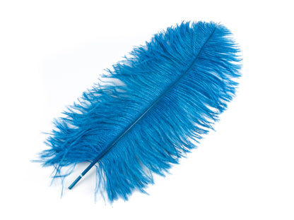 Ostrich Feather Pen