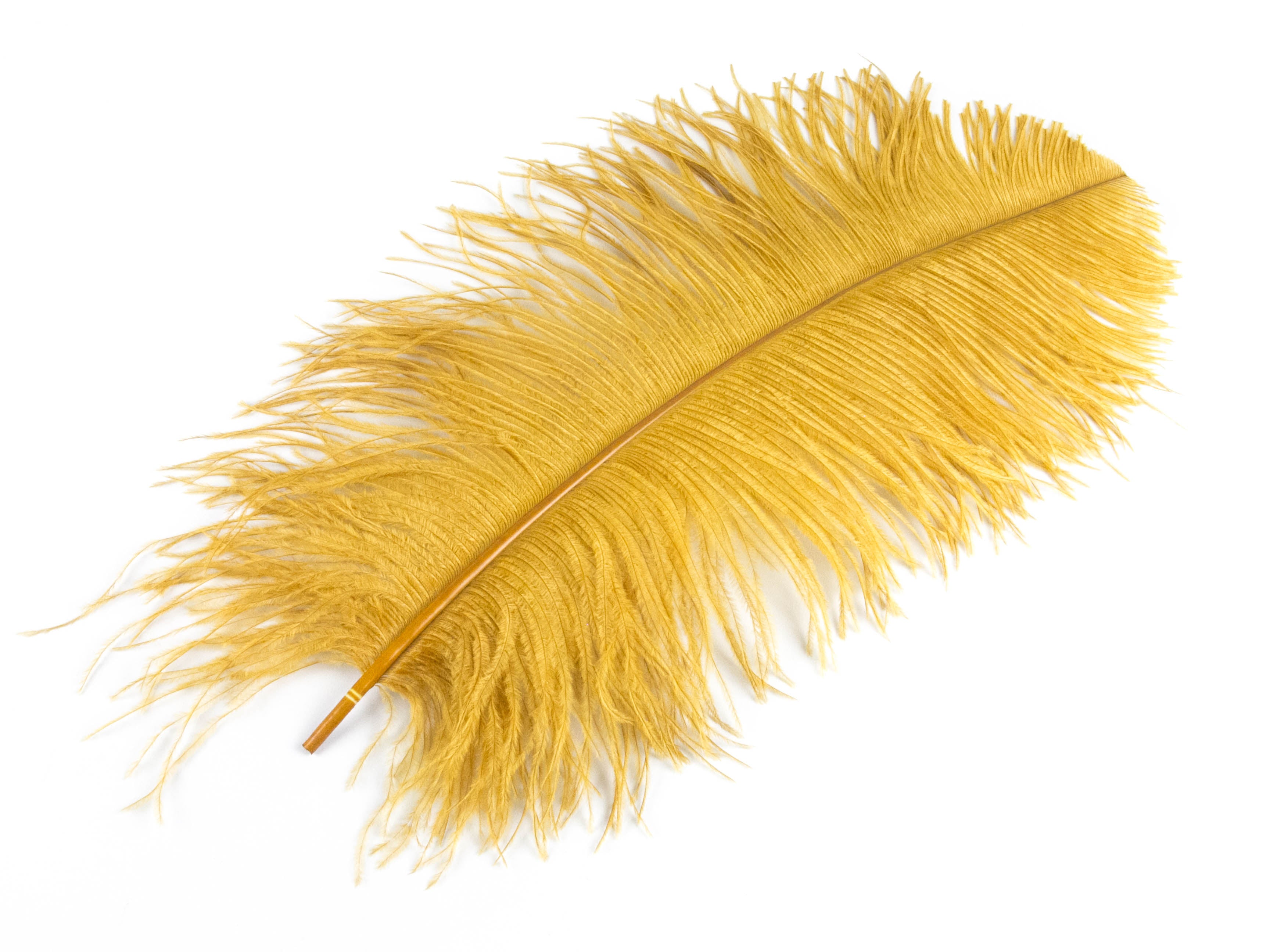 Ostrich Feather Pen