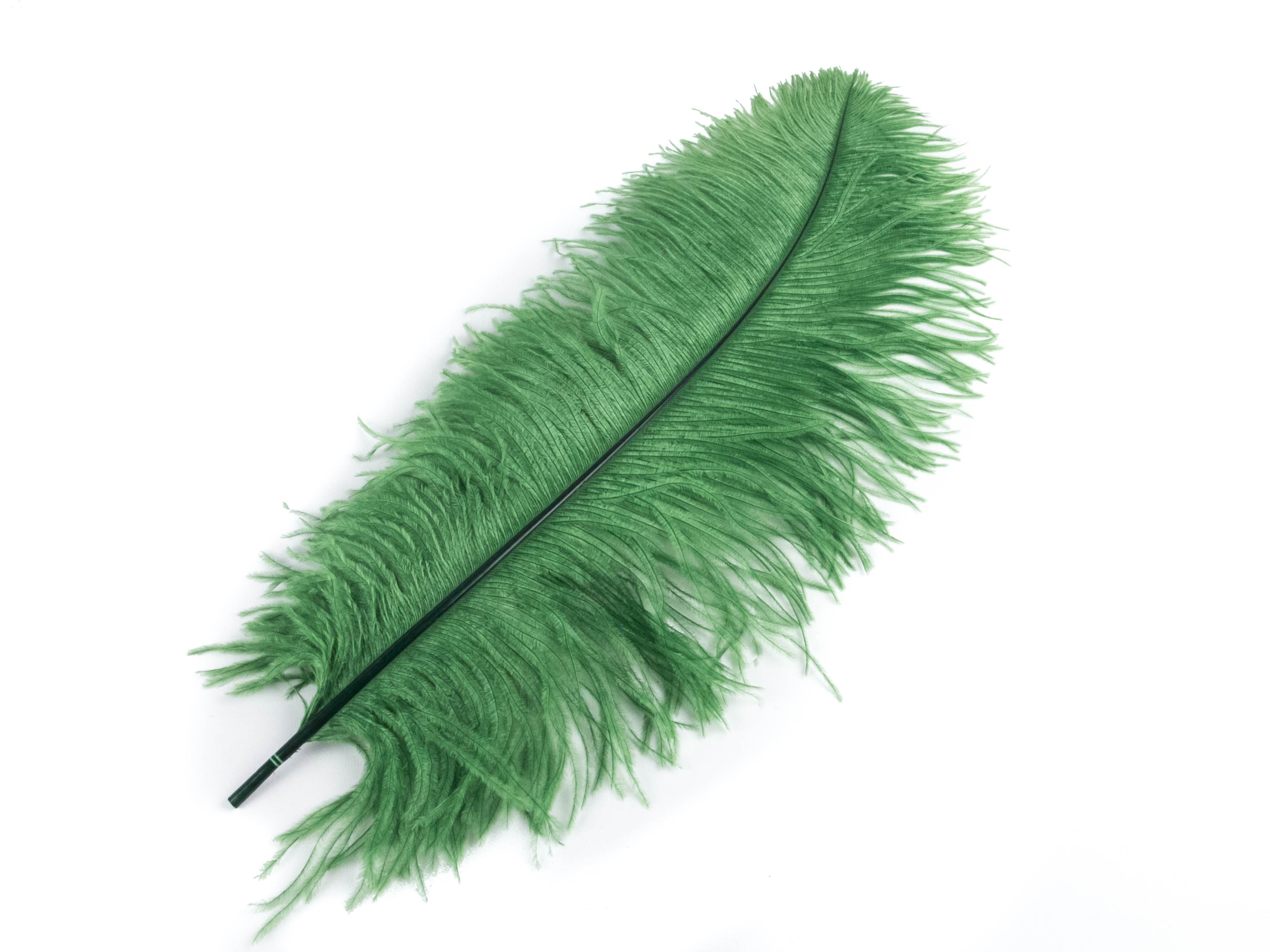 Ostrich Feather Pen