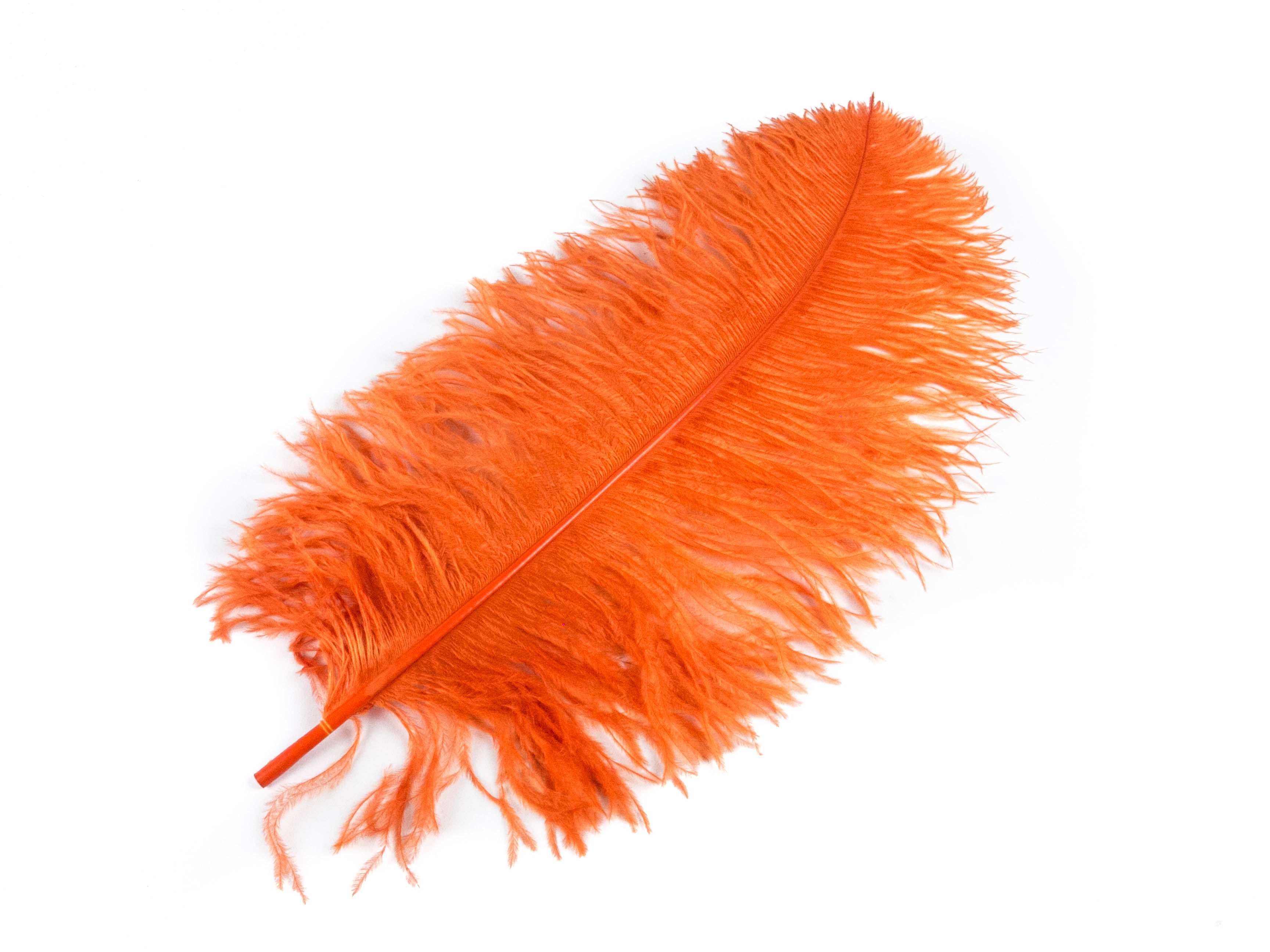 Ostrich Feather Pen