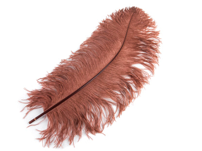 Ostrich Feather Pen