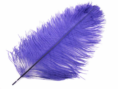 Ostrich Feather Pen