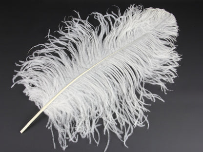 Ostrich Prime Wing Feather (50-65cm)