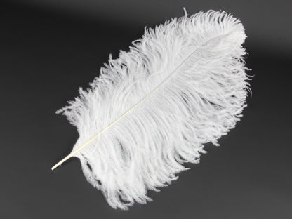 Ostrich Prime Wing Feather (50-65cm)