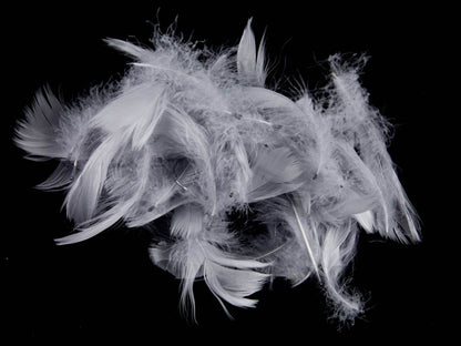 Bulk Goose Coquille Feathers