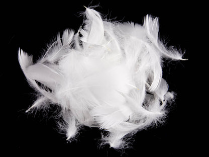 Bulk Goose Coquille Feathers