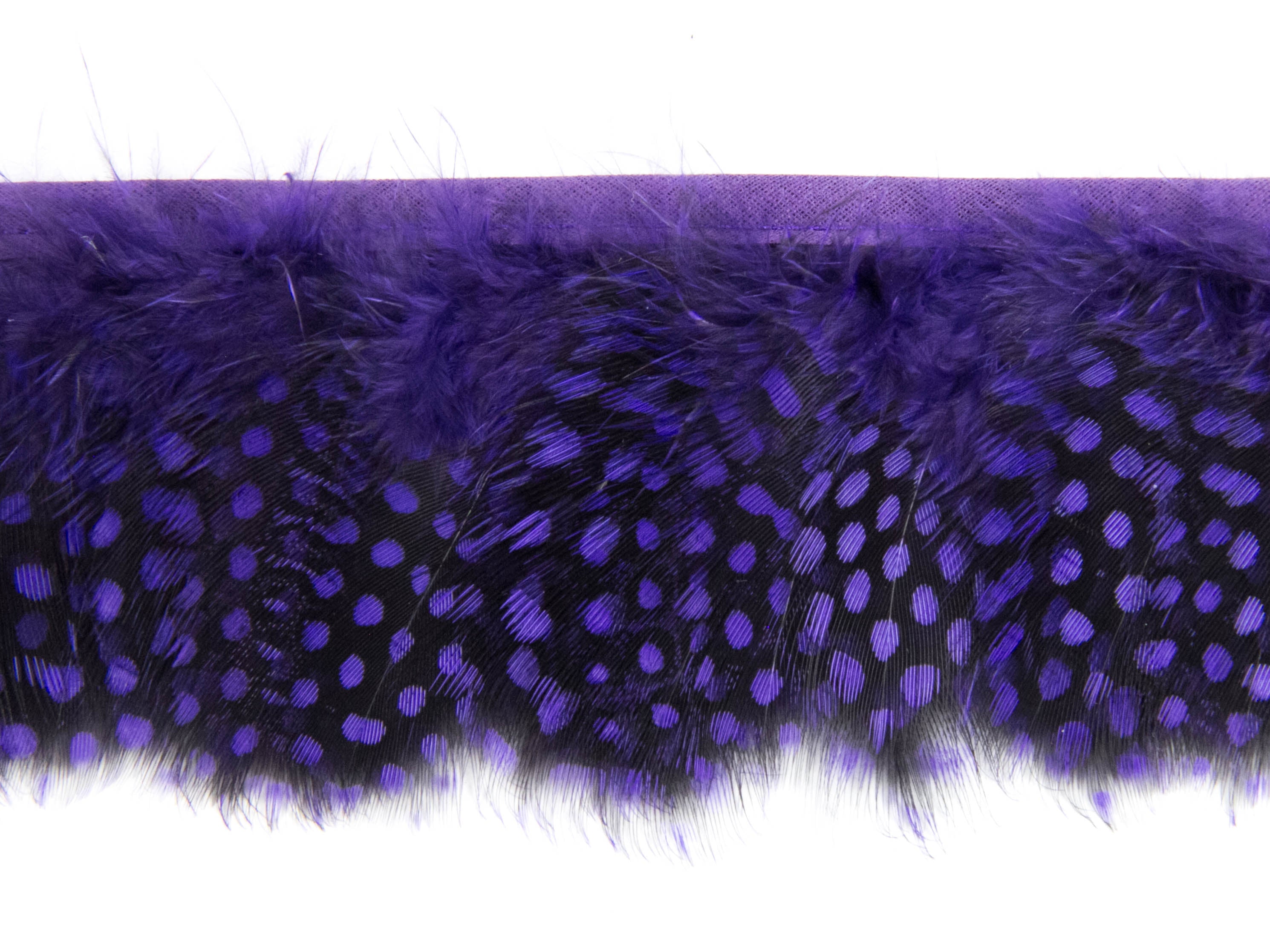Guinea Fowl Fringe