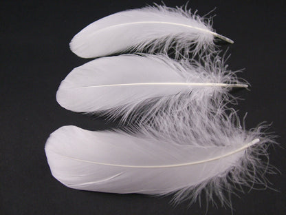 Goose Nagoire Quill Pen (Pack of 10)