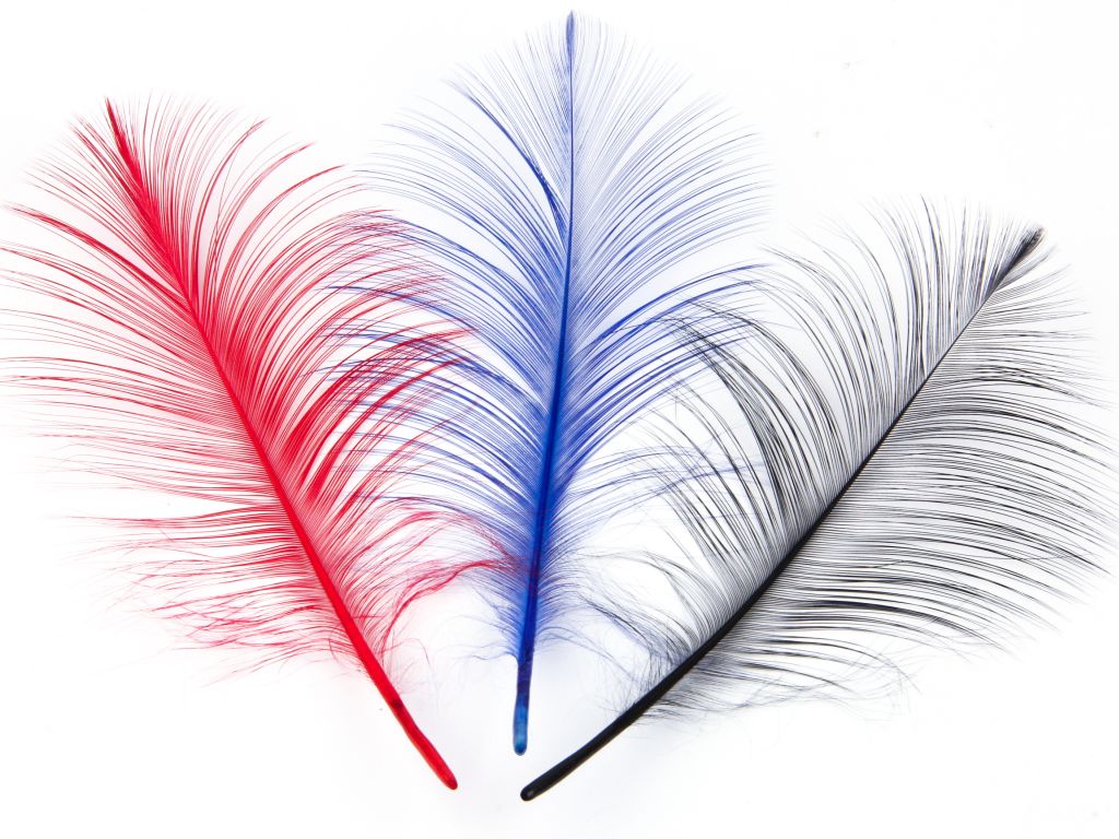Burnt Goose Nagoire Feather (Pack of 10)
