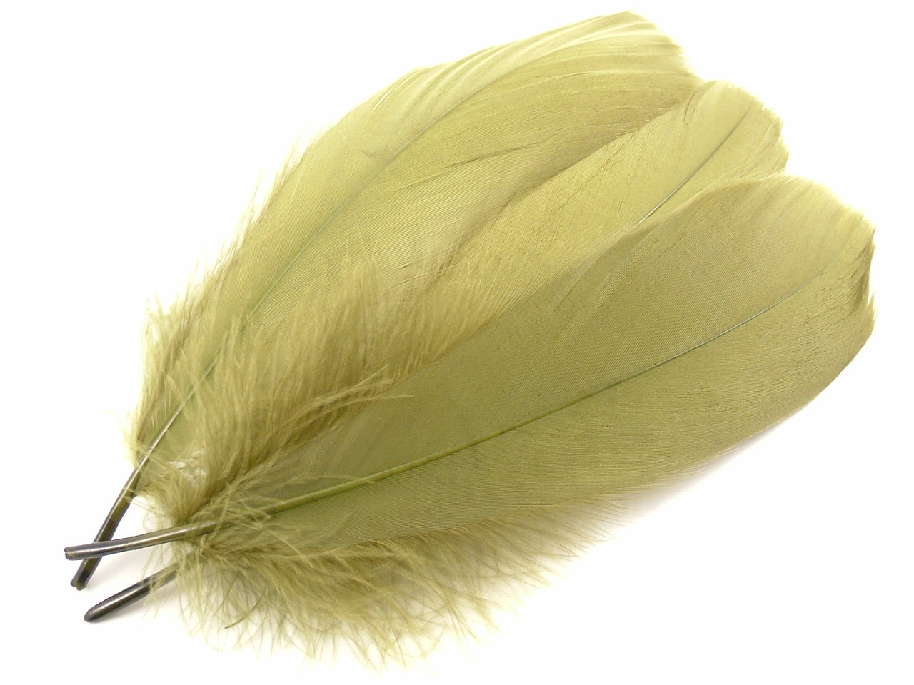 Goose Nagoire Quill Pen (Pack of 10)
