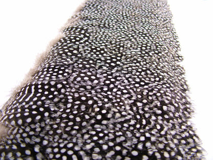 Guinea Fowl Fringe