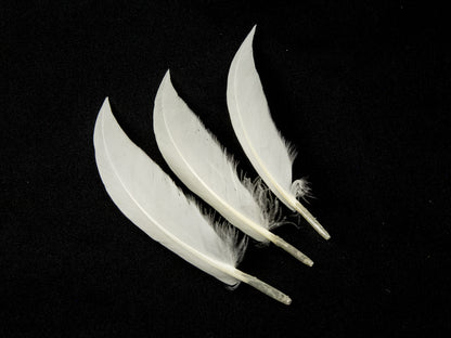 Goose Sword (Pack of 25)