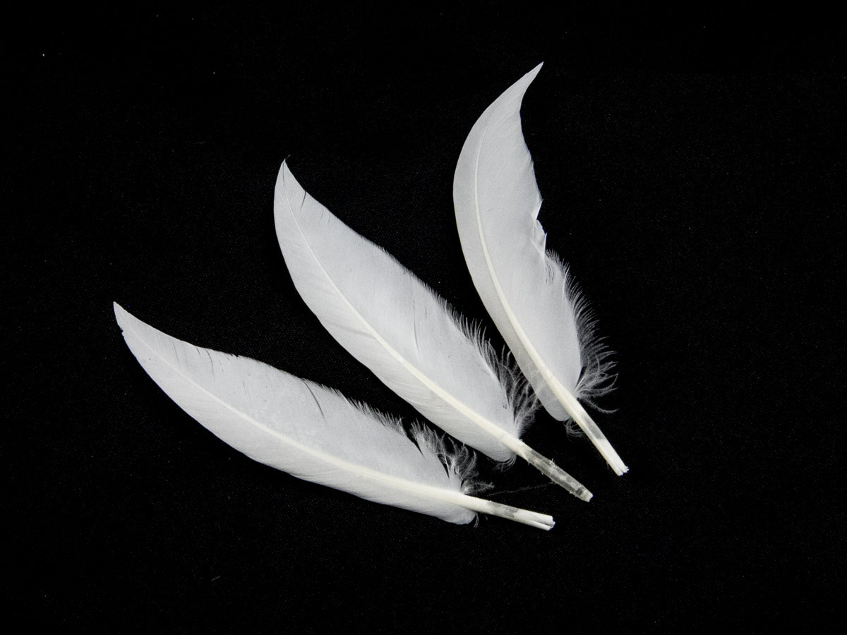 Goose Sword (Pack of 25)