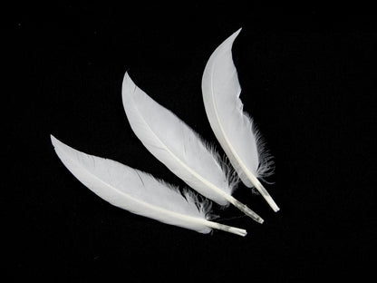Goose Sword (Pack of 25)