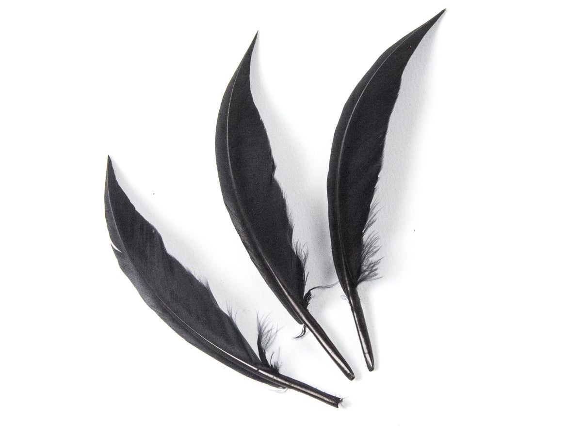 Goose Sword (Pack of 25)