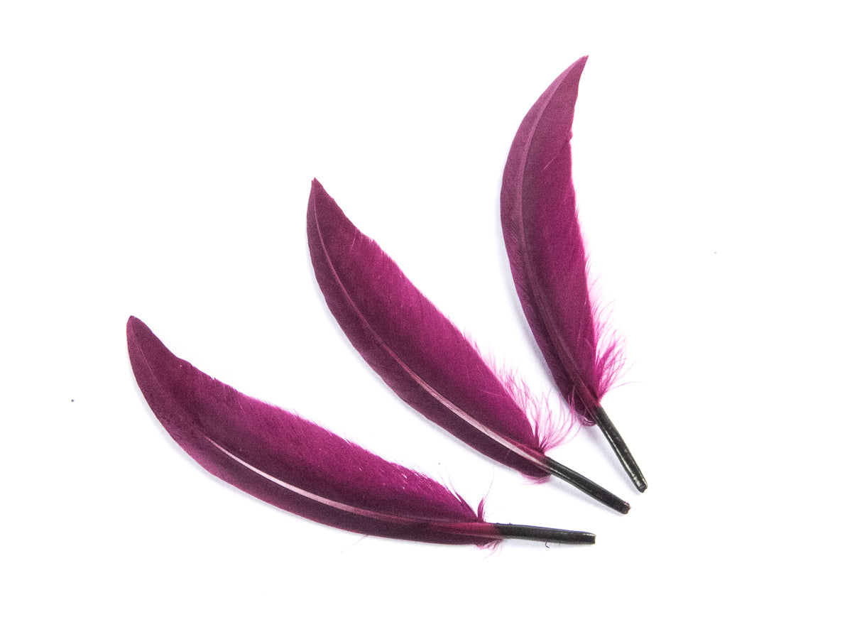 Goose Sword (Pack of 25)