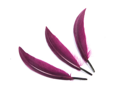 Goose Sword (Pack of 25)