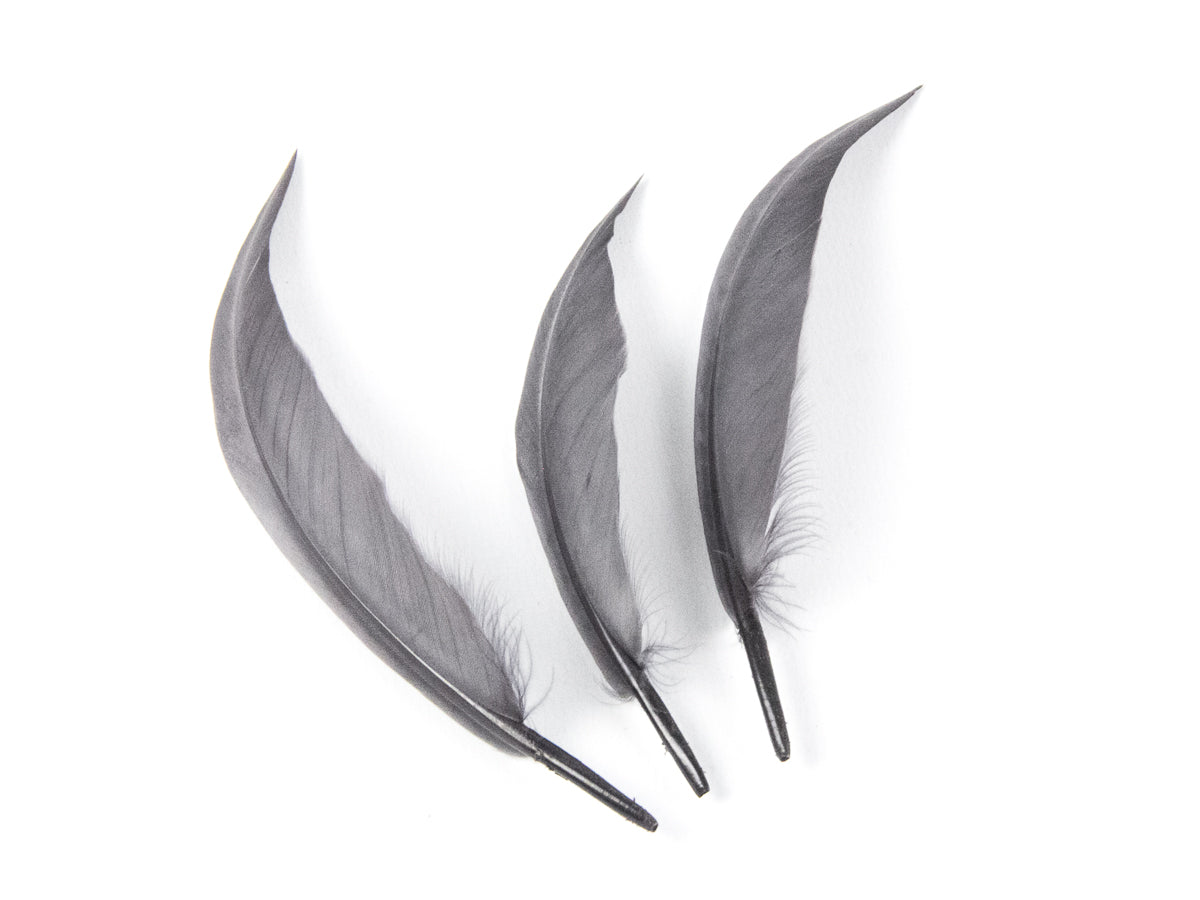 Goose Sword (Pack of 25)