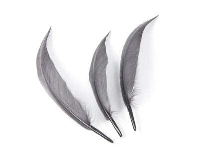 Goose Sword (Pack of 25)