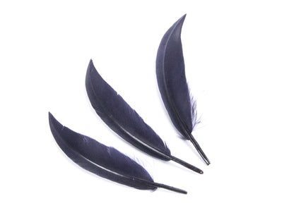 Goose Sword (Pack of 25)