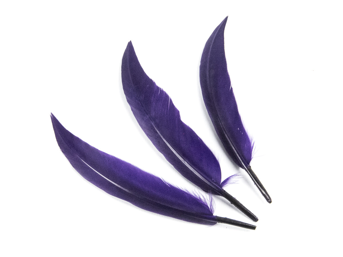 Goose Sword (Pack of 25)