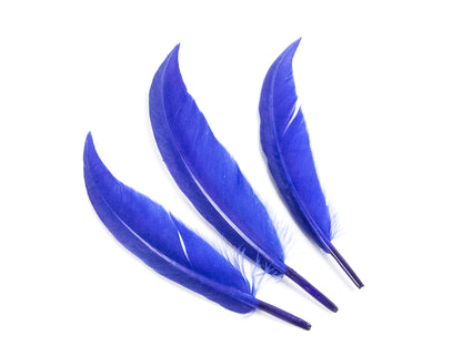 Goose Sword (Pack of 25)