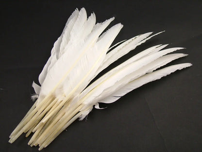 Bulk Goose Quill Feather