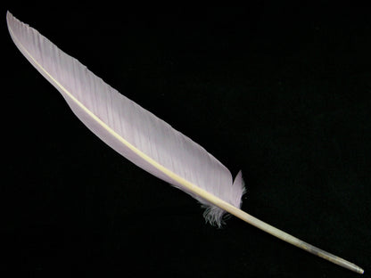 Goose Quill Feather Pens