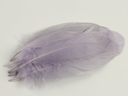 Bulk Goose Nagoire Feathers
