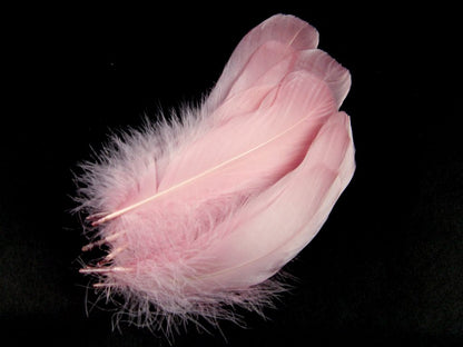 Bulk Goose Nagoire Feathers