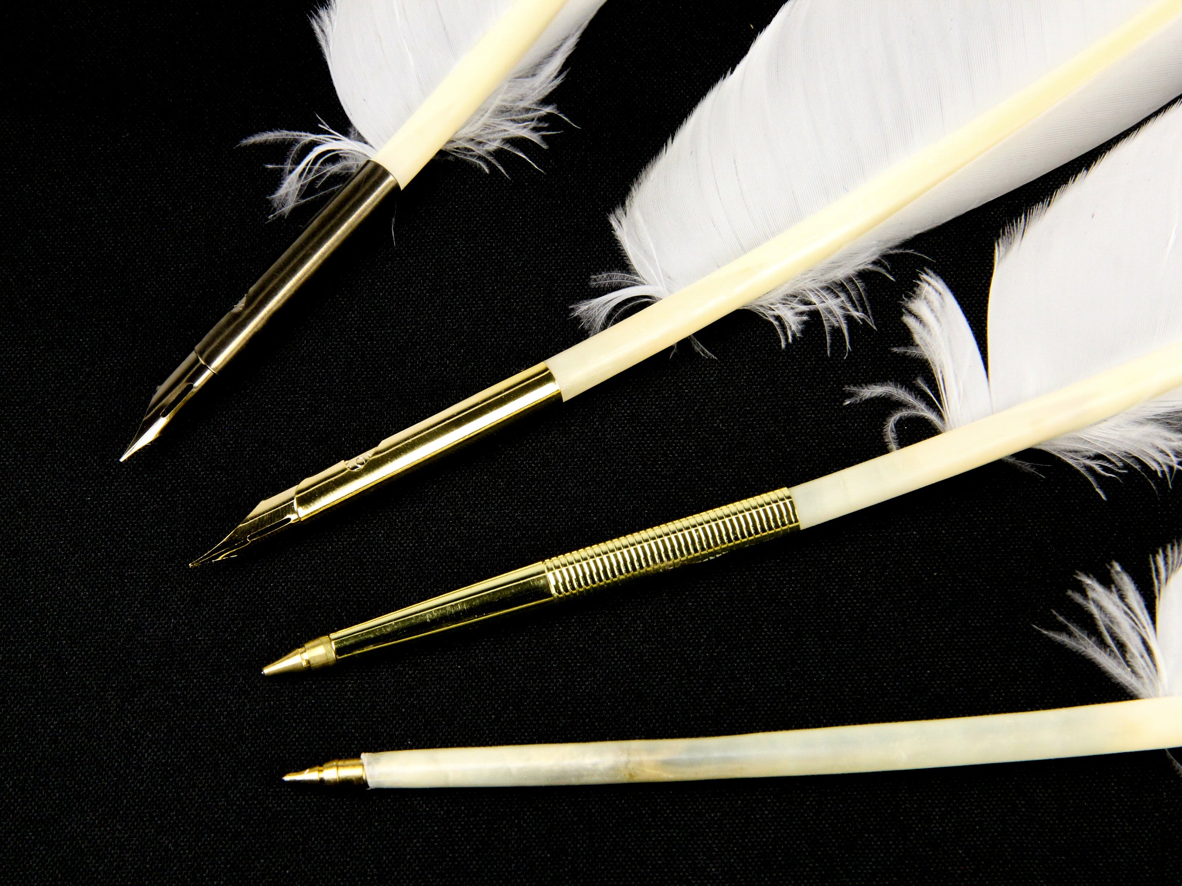 Goose Quill Feather Pens