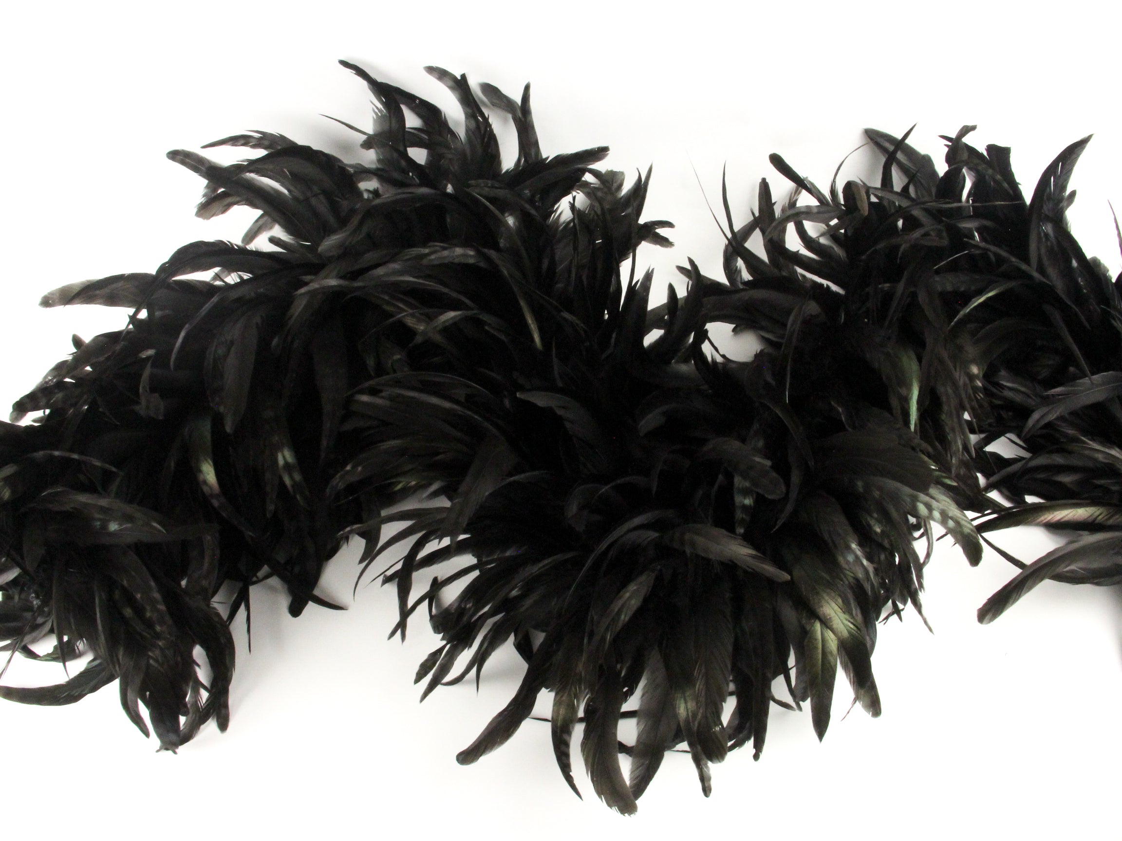 Chinchilla Coque Boa