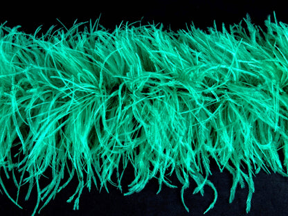 Ostrich Feather Boa with Stripped Coque - Fashion Colours