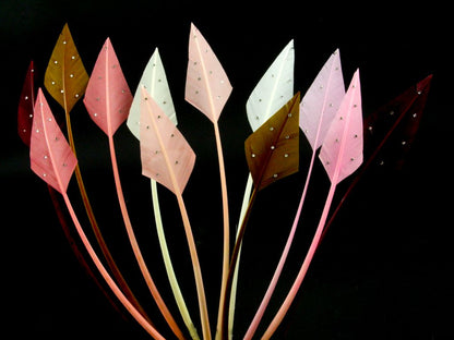 Jewelled Turkey Arrowhead - Pack of 3