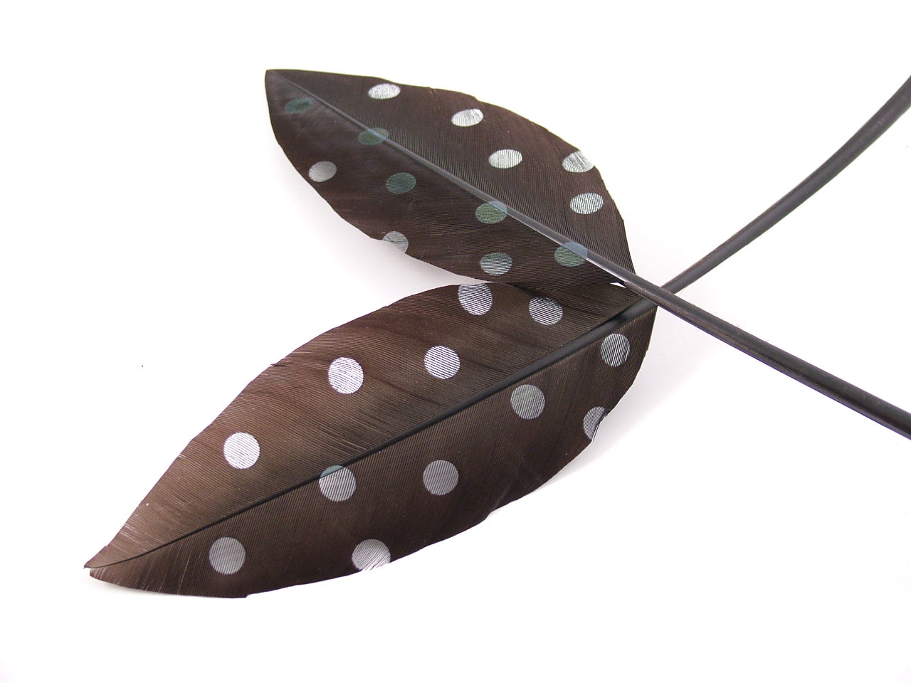 Engraved Pattern Teardrop Quill (Pack of 3)