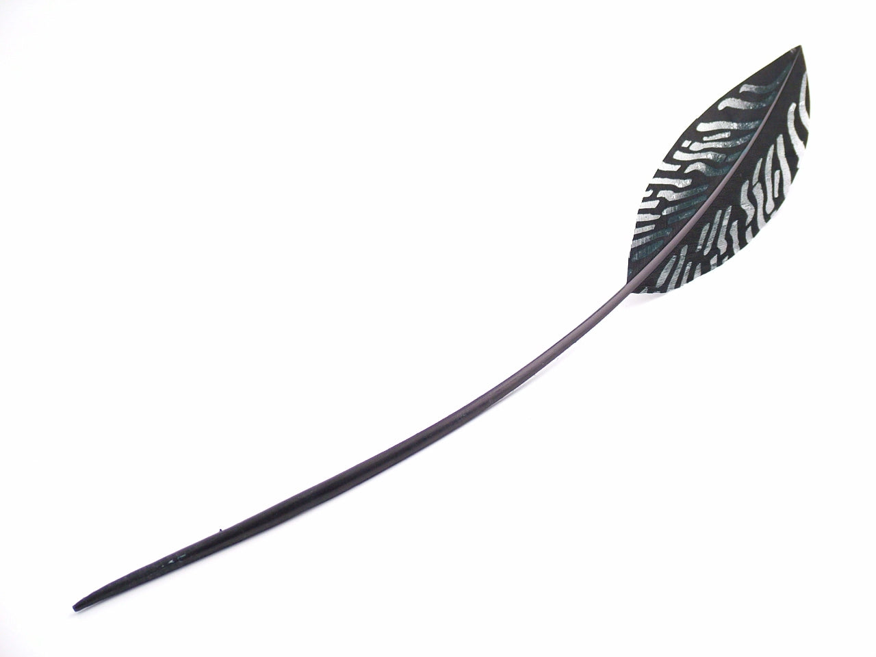Engraved Pattern Teardrop Quill (Pack of 3)