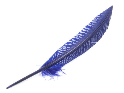 Engraved Pattern Imitation Goose Quill (Pack of 3)