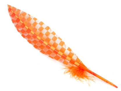 Engraved Pattern Imitation Goose Quill (Pack of 3)