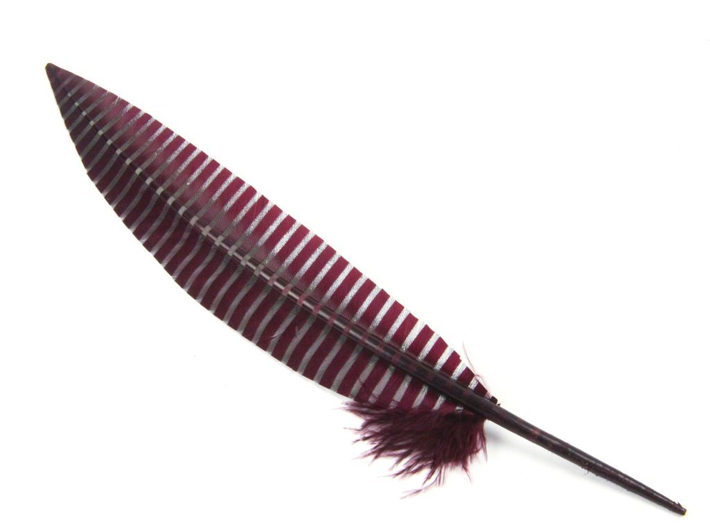 Engraved Pattern Imitation Goose Quill (Pack of 3)