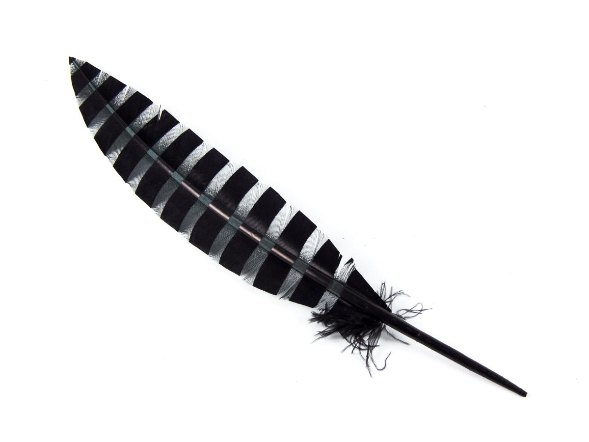 Engraved Pattern Imitation Goose Quill (Pack of 3)
