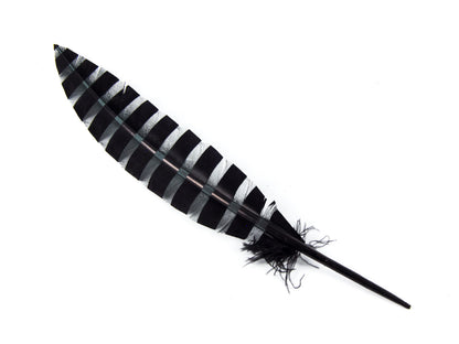 Engraved Pattern Imitation Goose Quill (Pack of 3)