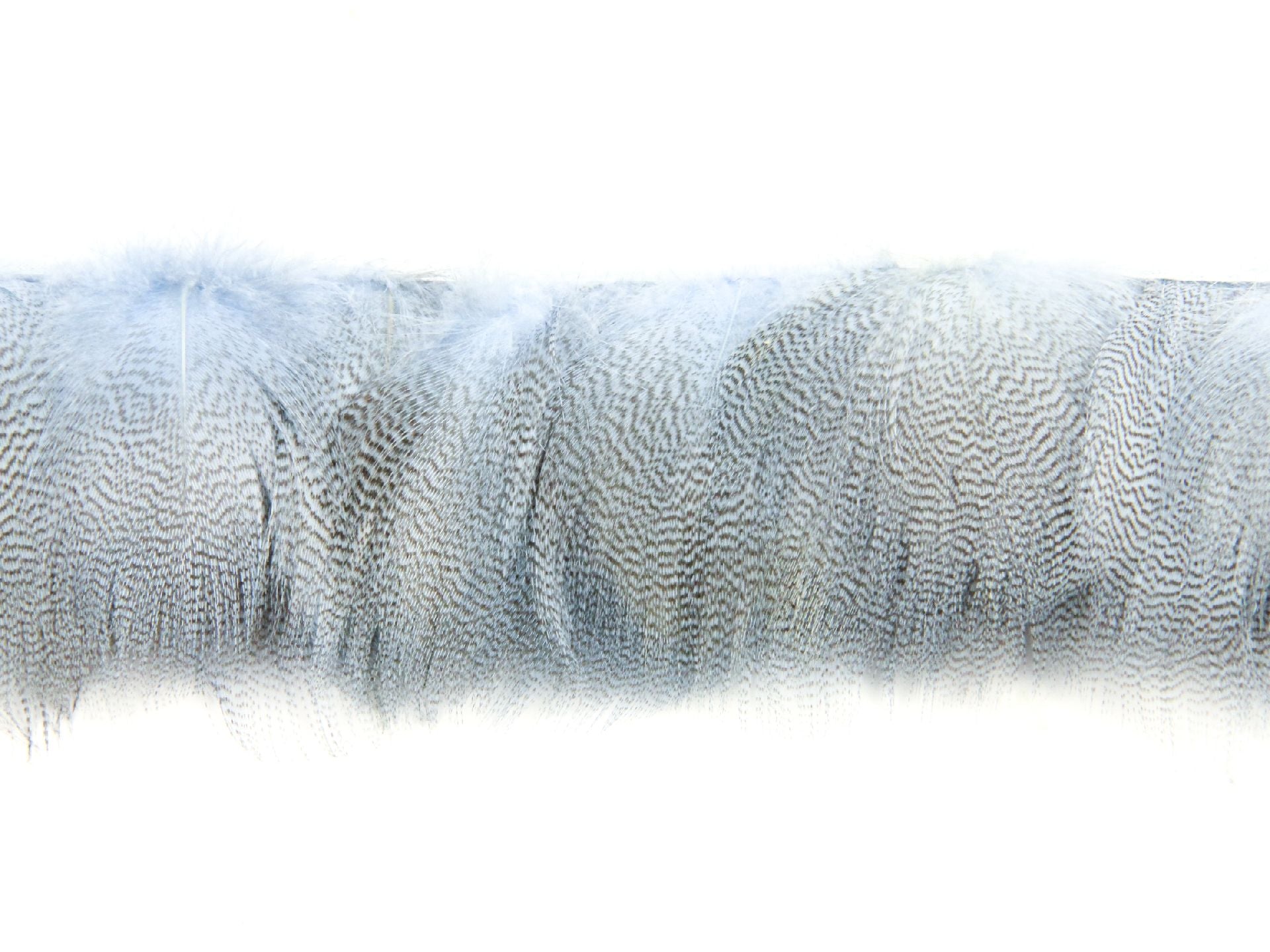 Mallard Duck Flank Fringe