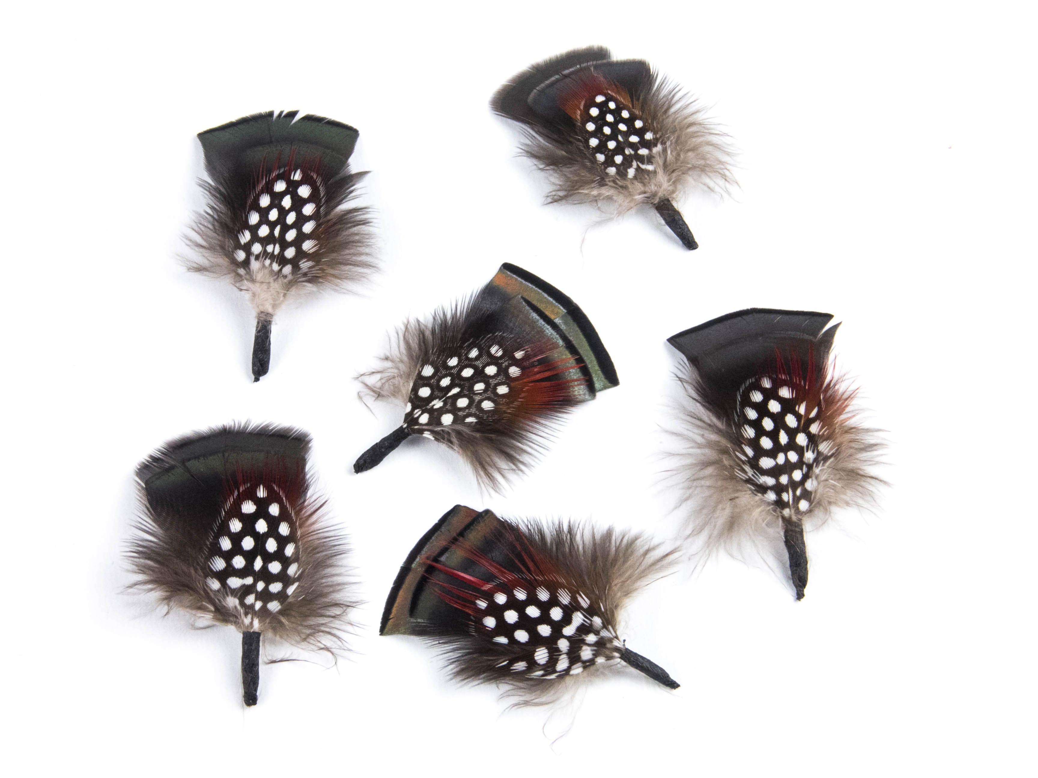 Guinea Hat Mount - Pack of 10