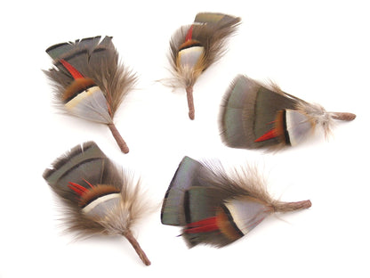 Partridge Hat Mount - Pack of 10