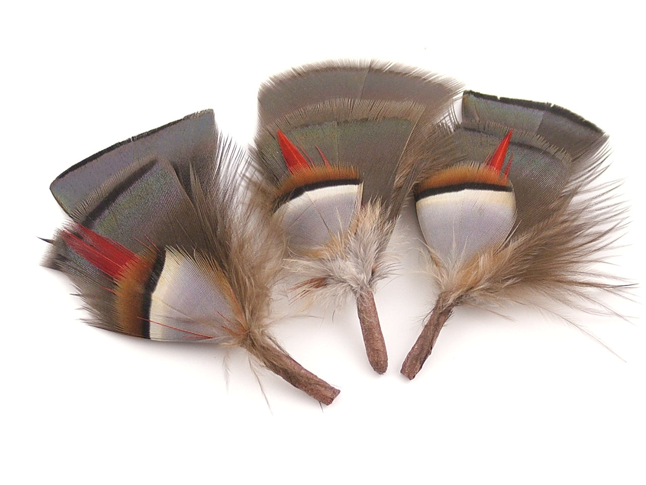 Partridge Hat Mount - Pack of 10